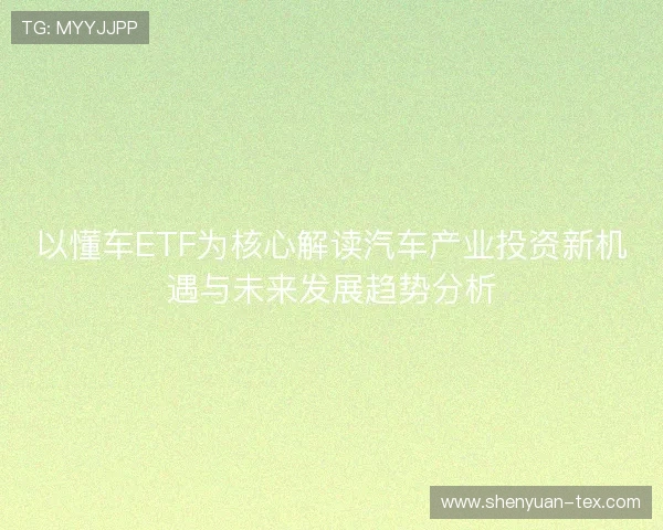 以懂车ETF为核心解读汽车产业投资新机遇与未来发展趋势分析 以懂车ETF为核心解读汽车产业投资新机遇与未来发展趋势分析